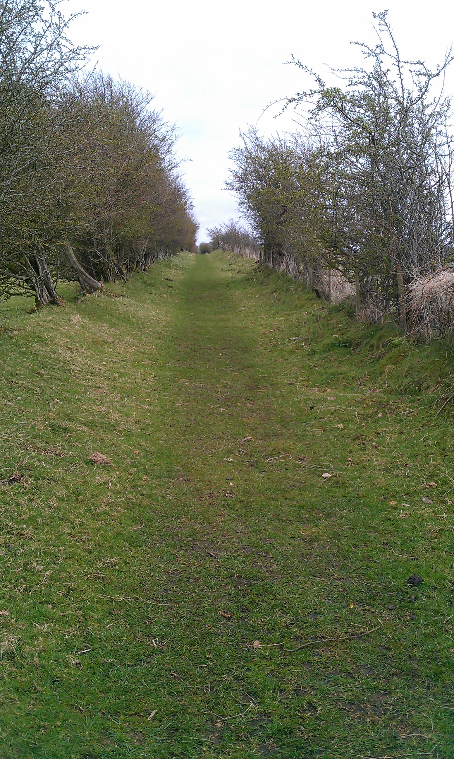 Day Two: walking along in the ditch between wall and defensive mound.
